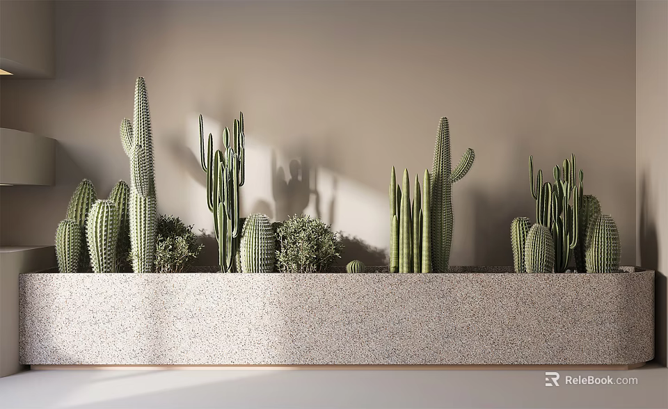 Cactus Bonsai Potted Plants In Stone Long Planter By Wall With Sunlight Shadow 3d model 