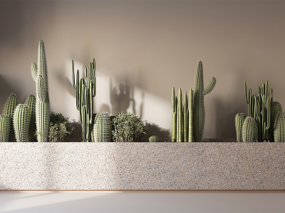 Modern Cactus Plant model