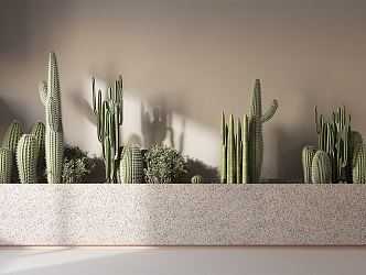 Modern Cactus Plant 3d model