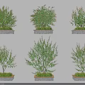 Square Concrete Tree Planters With Green Leafy Shrubs For Landscaping Design 3d model