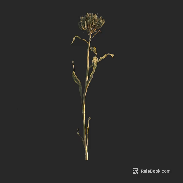 Elegant Vase with Fresh Blooming Flowers for Home Decoration on Dark Background 3d model 