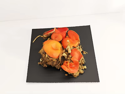 Crab Platter With Orange Red Shells On Black Square Plate 3d model