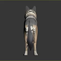 Stylized Low Poly 3D Wolf Model With Gray Beige Fur Standing Pose