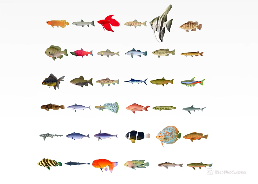 Vibrant Aquatic Animals Collection Featuring Various Species With Colorful Patterns And Unique Forms 3d model 