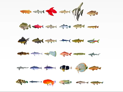 Vibrant Aquatic Animals Collection Featuring Various Species With Colorful Patterns And Unique Forms 3d model