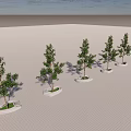 Multiple Tree Planters With Green Trees Arranged On Paved Ground With Shadows 3d model