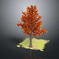 Autumn Tree with Red and Orange Leaves Brown Trunk and Green Grass on Gray Background
