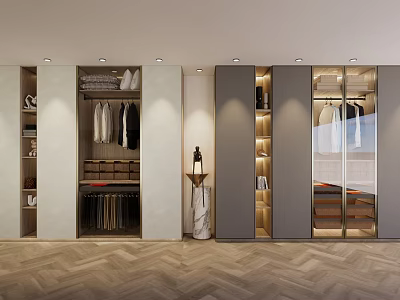 Modern Wardrobe Interior Design With Glass Doors Hanging Rods And Storage Drawers 3d model