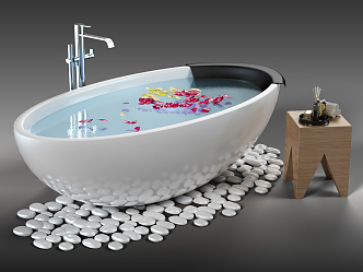 Modern Bathtub 3d model