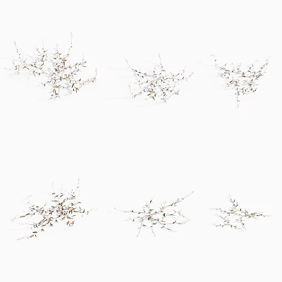Small Branch Plants With White Flowers And Tiny Green Leaves Natural Decorative Arrangement 3d model