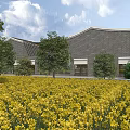 Garden Landscape With Yellow Flower Field Modern Building And Green Trees Under Blue Sky