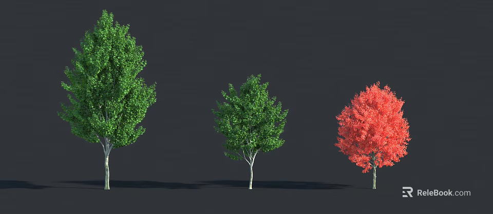Three Arbor Trees With Green Red Leaves And White Trunks On Dark Background 3d model