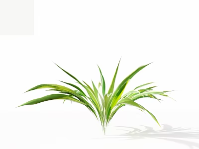 Lush Green Grass with Slender Leaves and Light Green Gradient on White Background 3d model