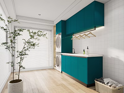 Modern Laundry Room Interior With Teal Cabinets Washing Machines And Potted Plant 3d model