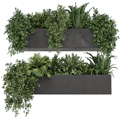 Bonsai Potted Plants in Black Rectangular Pots with Lush Green Foliage and Hanging Branches 3d model