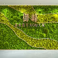Green Plant Feature Wall with Golden Inscriptions and Curved Lines in Chongqing