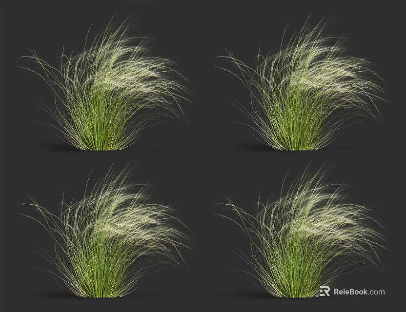 Four Clusters of Green Grass With White Slender Leaves on Black Background 3d model 