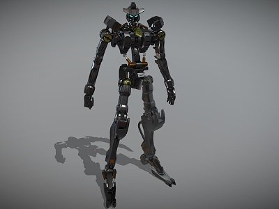 Robot model