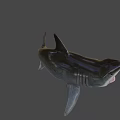 Large Gray Shark With Open Mouth And Sharp Fins In Deep Sea