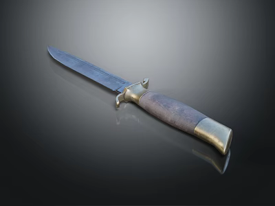 Vintage Metal Blade Knife With Wooden Handle And Brass Accents On Dark Background 3d model