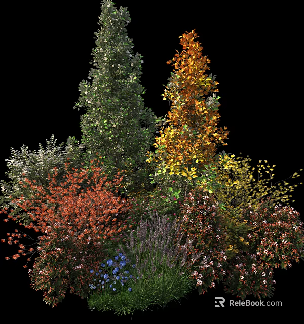 Colorful Shrubs with Vibrant Foliage and Various Colored Leaves in Garden 3d model 