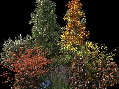 Colorful Shrubs with Vibrant Foliage and Various Colored Leaves in Garden 3d model