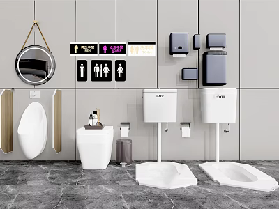 Modern Public Bathroom Toilet Design With Urinal Sink Mirror And Gender Signs 3d model