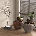 Beautiful Aquarium Setup With Tropical Fish Aquatic Plants And Decorative Stones