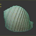 Marine animal with white spiral shell featuring yellow spots and stripes on dark background
