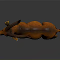 Realistic Orange Antelope 3D Model With Curved Horns And Walking Stance