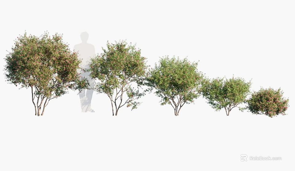 Various Heights of Trees With Green Foliage in Natural Outdoor Setting 3d model 