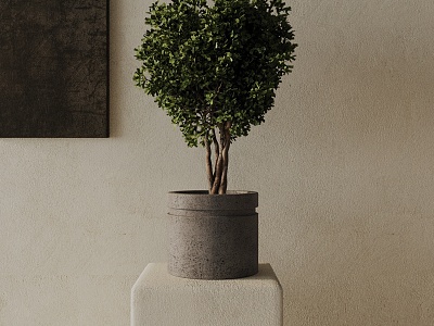 potted plant model