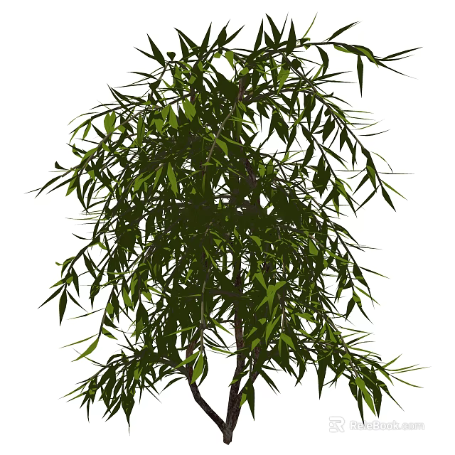 Lush Green Garden Shrub Featuring Dense Foliage With Slender Branches And Vibrant Leaves 3d model 