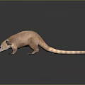 weasel animal 3d model