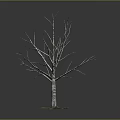 Detailed Bare Tree 3D Model Featuring Wooden Trunk and Stone Base Displayed on Gray Surface