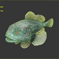 Spiky Blue And Green Fish With Open Mouth And White Fins On Dark Background