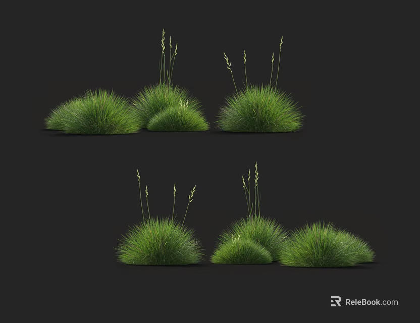 Different Types of Green Garden Grass Clumps in Various Shapes 3d model 