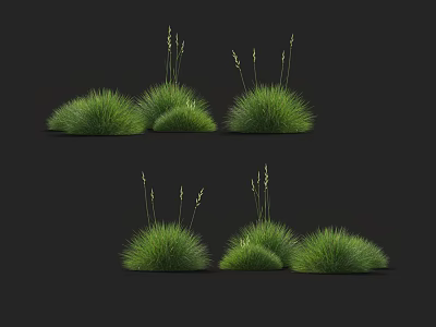 Different Types of Green Garden Grass Clumps in Various Shapes 3d model