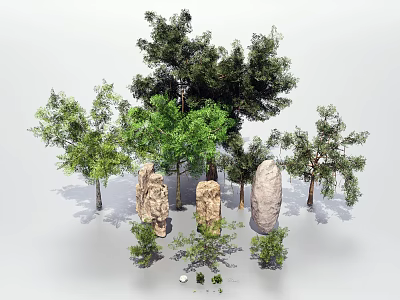Natural Plant Combination With Various Trees Shrubs And Decorative Stones 3d model