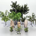 Natural Plant Combination With Various Trees Shrubs And Decorative Stones
