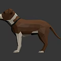 Low Poly Brown And White Dog With Collar On Gray Background And Reflection 3d model
