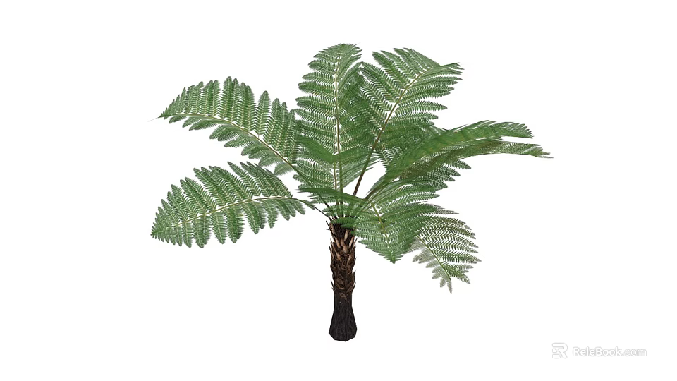 Green Fern Plant With Vibrant Green Fronds And Sturdy Brown Trunk 3d model 