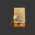 Detailed 3D Medical Model of Human Ear Organ With Hair Follicle Structures Shown