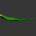 Green Lizard With Red Eyes And Colorful Spots On Its Body