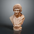 Classical Marble Bust Sculpture With Curly Hair And Drapery Displayed On Dark Background