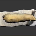 Detailed Polar Bear Figurine Standing On White Base With Naturalistic Pose