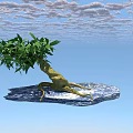 Artistic Bonsai Plant with Exposed Roots and Green Leaves on Rock Base Against Blue Sky