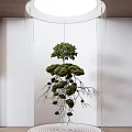 Hanging Garden Decor With Green Tree Mossy Structure Exposed Roots And Branches 3d model