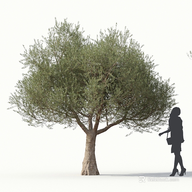 Olive Tree with Lush Green Foliage and Trunk and Woman Silhouette Walking with Bag 3d model 