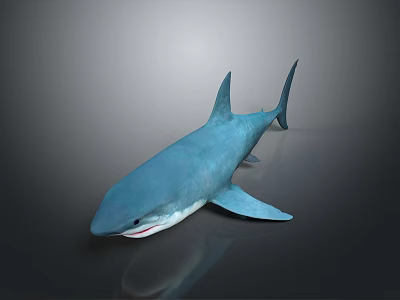 Sleek Blue Shark Swimming Gracefully in Ocean Waters with Sharp Fins and Smooth Skin 3d model